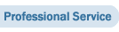 Professional Service